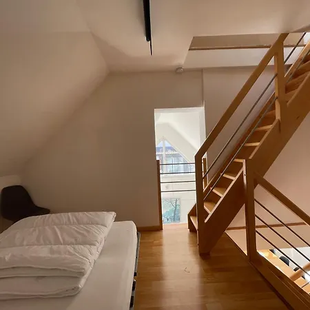 度假居 Maisons Avec Terrasse Et Parking 科尔马