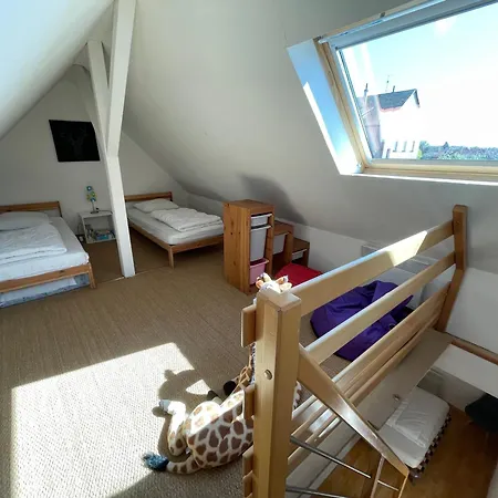 度假居 Maisons Avec Terrasse Et Parking 科尔马